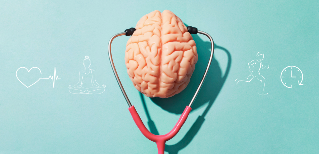 Human Brain