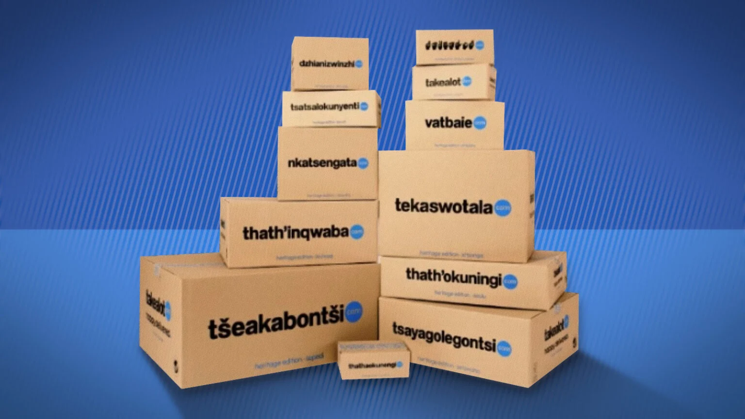 Takealot changes its name on delivery boxes for Heritage Month
