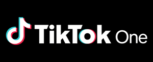 TikTok One South Africa connecting brands and creators